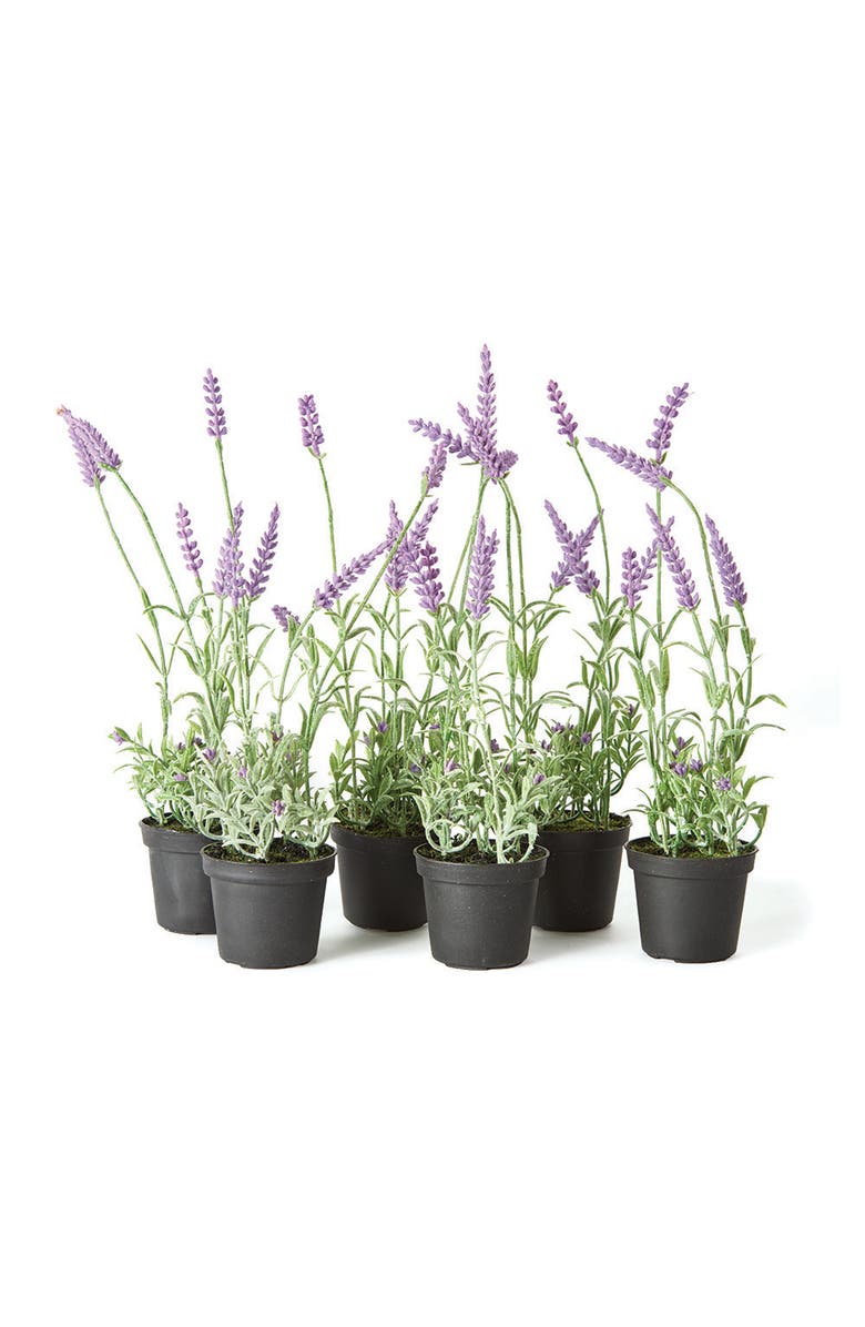 Napa Home & Garden French Lavender Drop-In 13" Set of 6, Main, color, White
