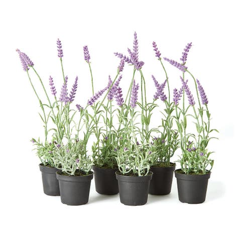 French Lavender Drop-In 13" Set of 6