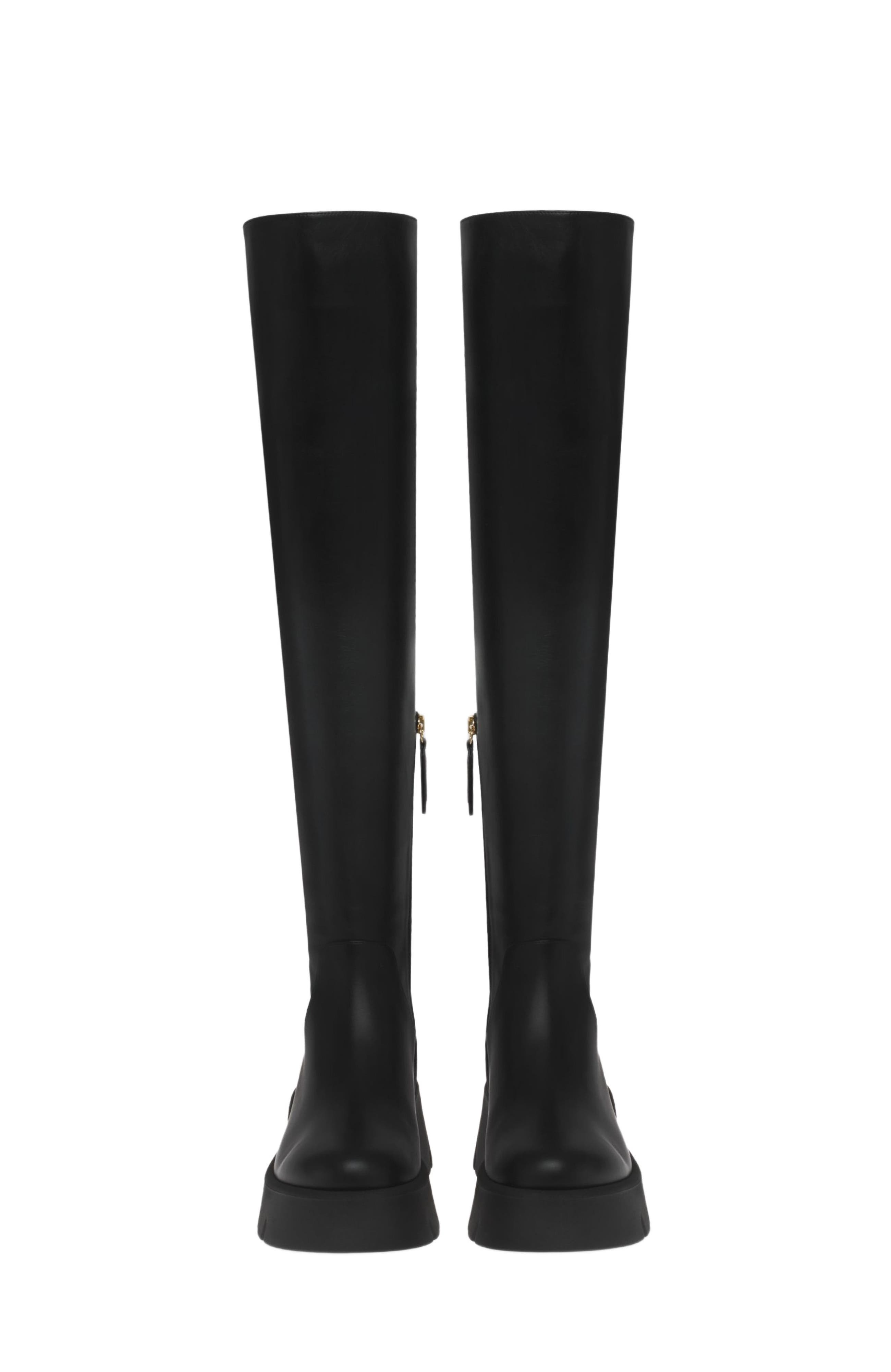 Gianvito Rossi Montey Cuissard Boots, Alternate, color, 
