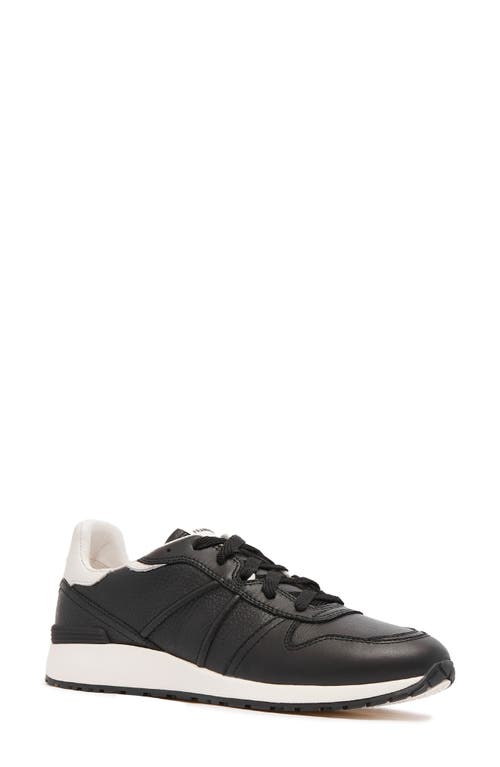 Frankie4 Raider Sneaker In Black