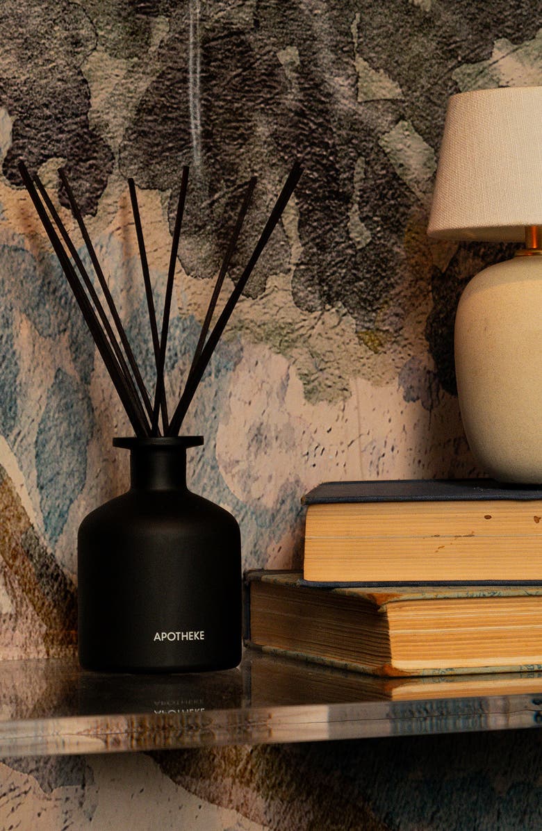 APOTHEKE Charcoal Rouge Reed Diffuser, Alternate, color, Black