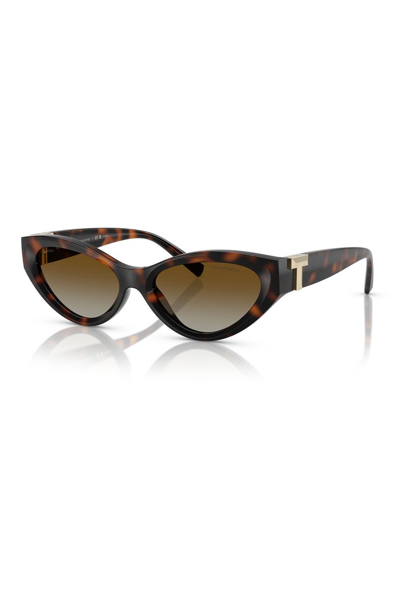 54mm Polarized Gradient Oval Sunglasses, Alternate, color, HAVANA