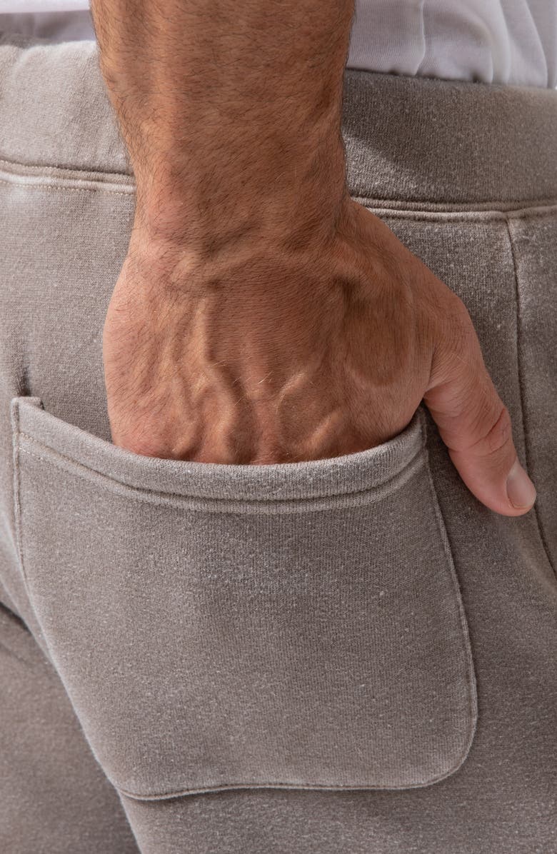 Threads 4 Thought Mineral Wash Organic Cotton Blend Joggers, Alternate, color,