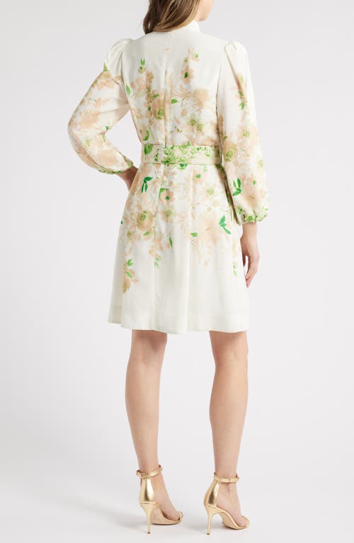 Tahari Asl Border Print Belted Long Sleeve Dress In Ivory Fern