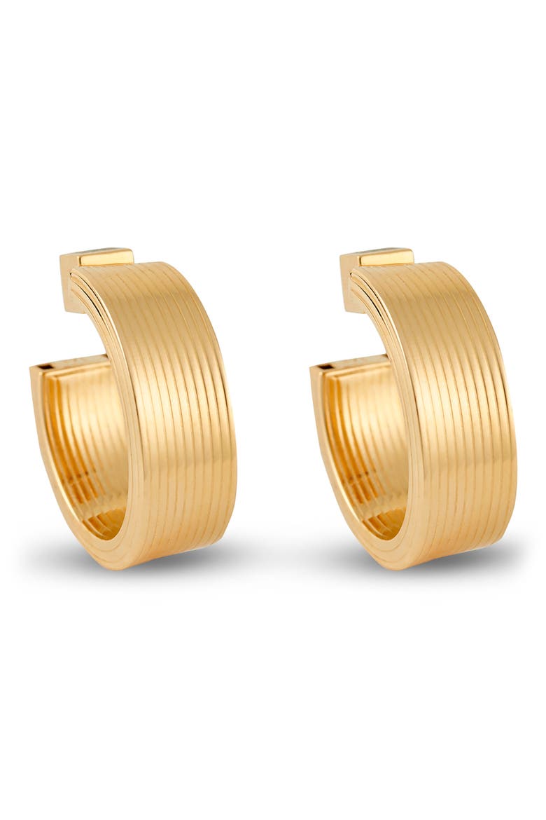 Medium Signora Hollow Hoop Earrings, Main, color, YELLOW GOLD