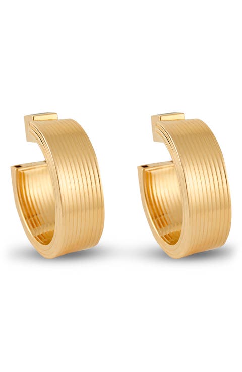 Medium Signora Hollow Hoop Earrings