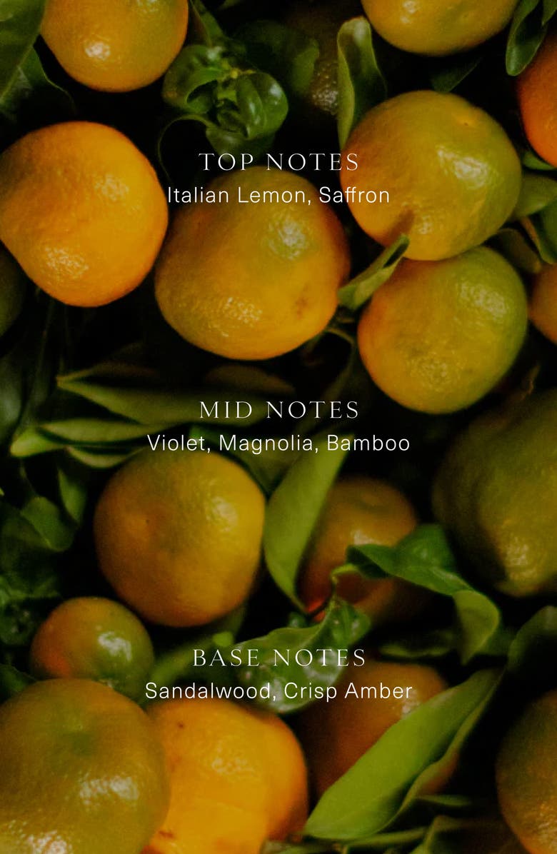 Oak Essentials Violet Santal Candle, Main, color, 