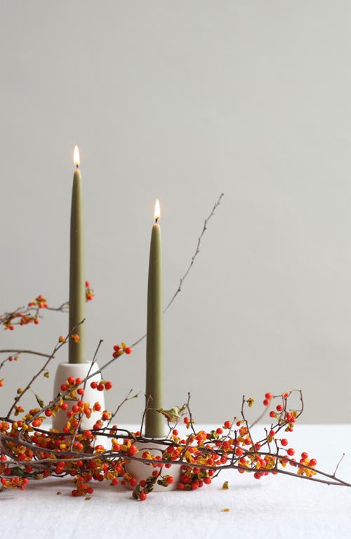 The Floral Society Set Of 2 Bayberry Scented Taper Candles In Green