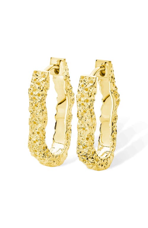 Lucy Quartermaine Hula Small Hoop Earring in Gold at Nordstrom