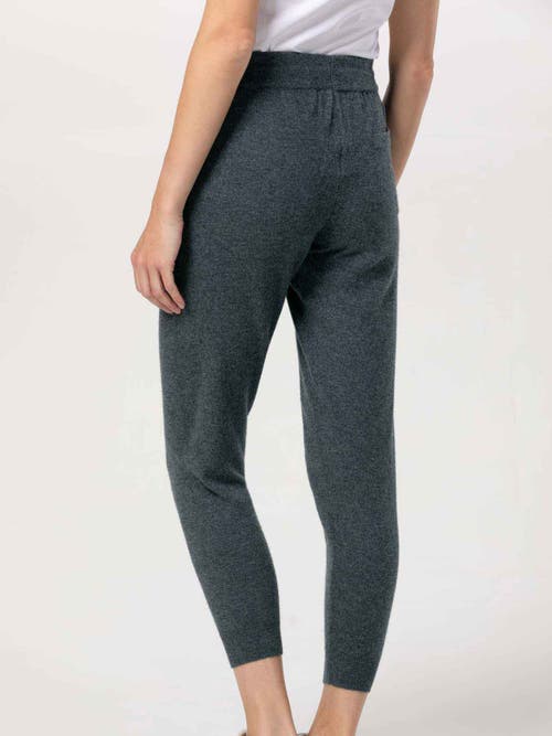 Gobi Mongolian Cashmere Cuffed Cashmere Jogger In Purple
