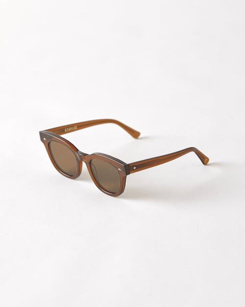 Epokhe Dylan Sunglasses In Brown