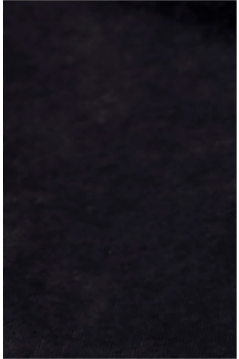 Celine Sequin T-Shirt, Alternate, color, BLACK