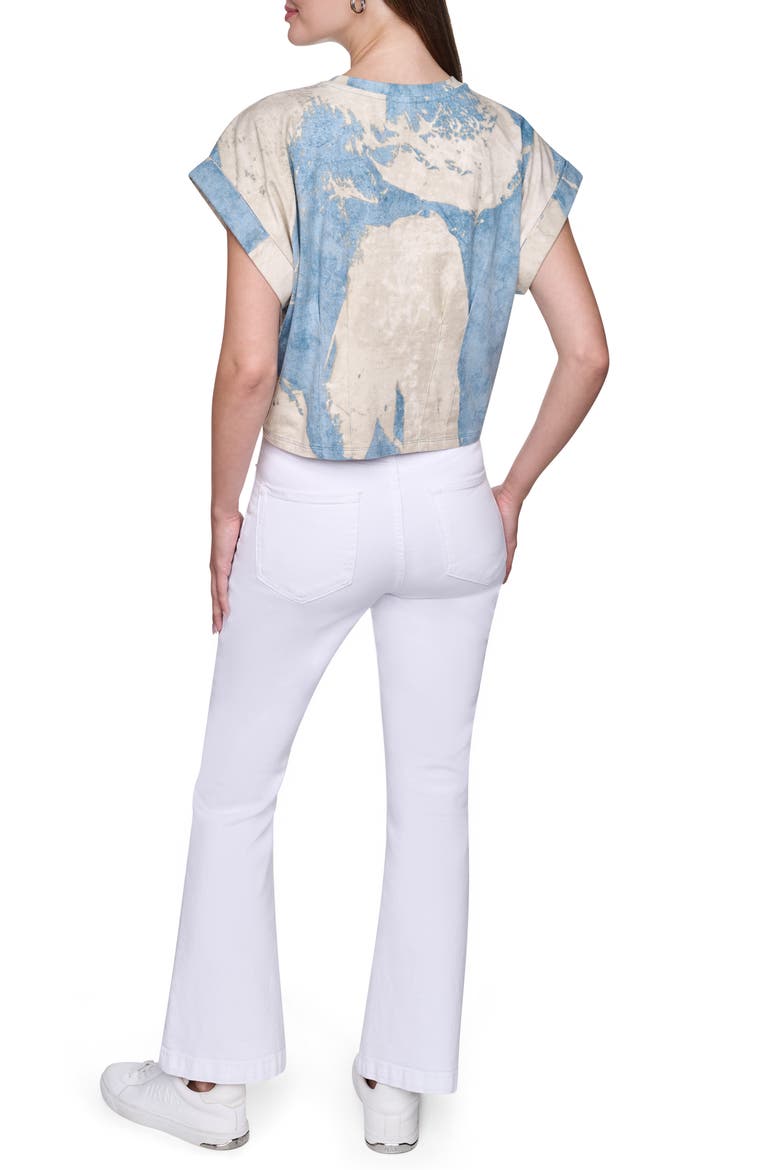 Dolman Sleeve Pleated Crop Top, Alternate, color, CAMEO BLU BRUSHSTROKE