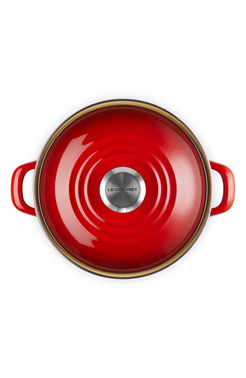 Le Creuset Enameled Stainless Steel Petite Stock Pot In Cerise