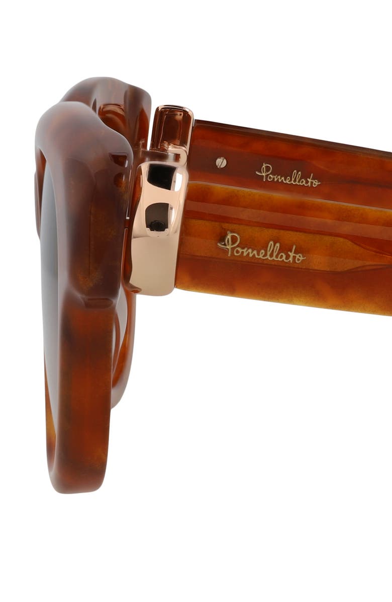 Pomellato 49mm Novelty Round Sunglasses, Alternate, color, Havana Havana Brown