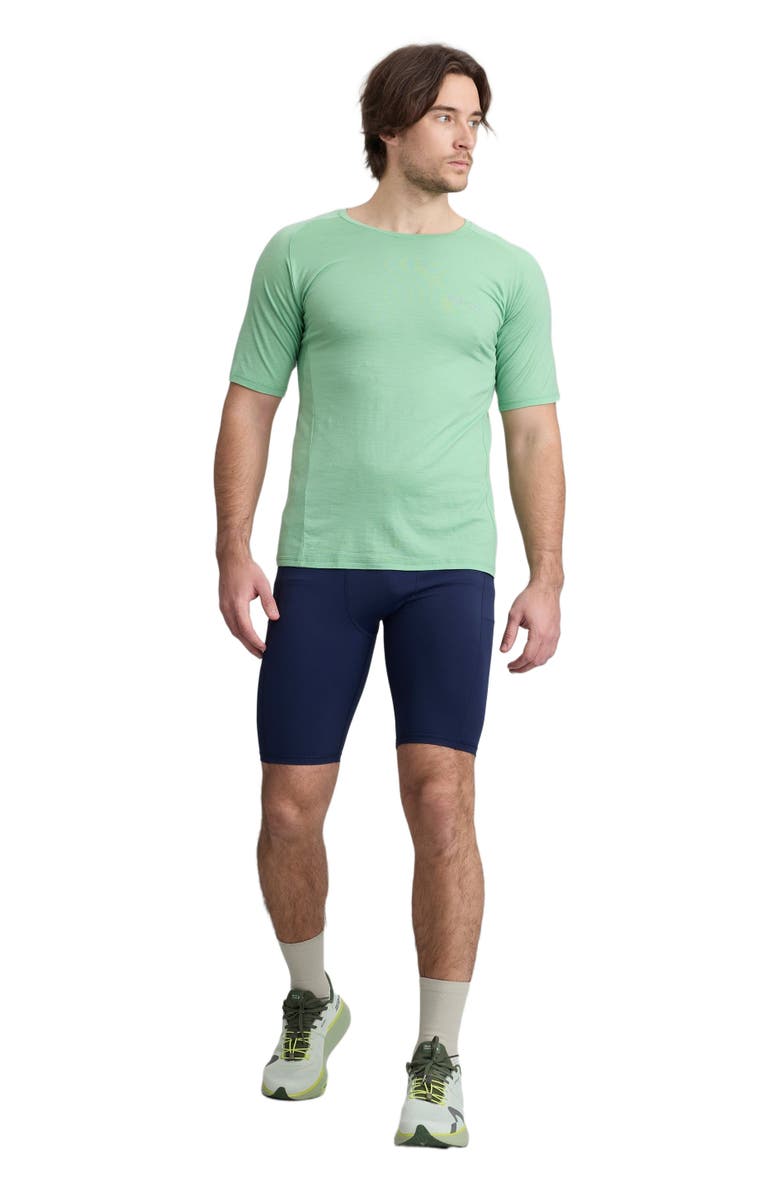 COZY ZERO Men's 100% Merino Reglan Tee, Alternate, color, Apple Green