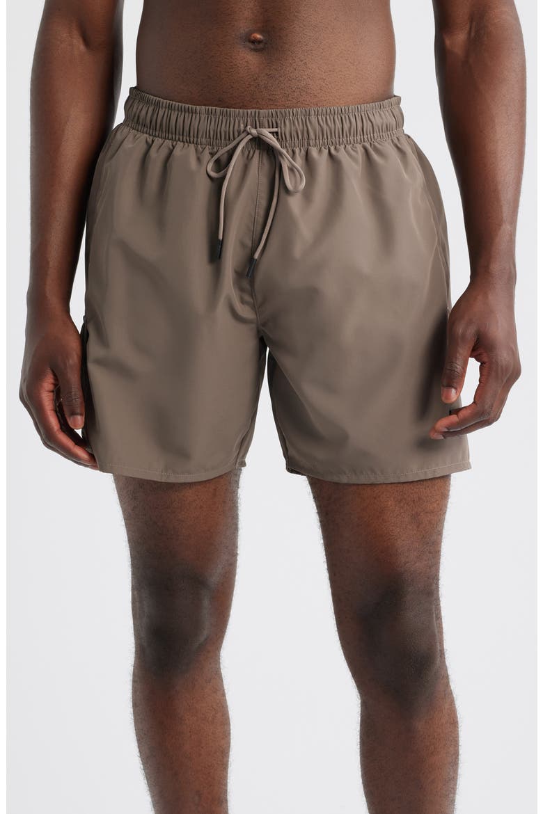 Dive Swim Trunks, Main, color, MEDIUM BROWN