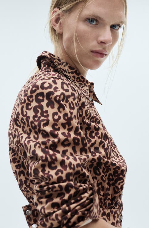 Mango Leopard-print Shirt Dress Brown In Brown