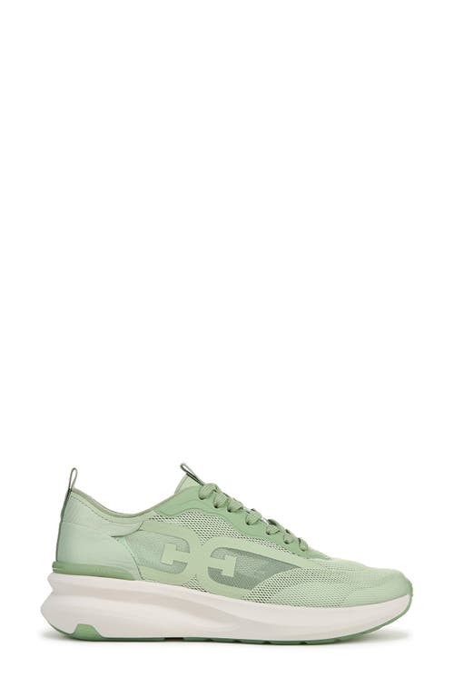 SAM EDELMAN SAM EDELMAN SARITA SNEAKER 
