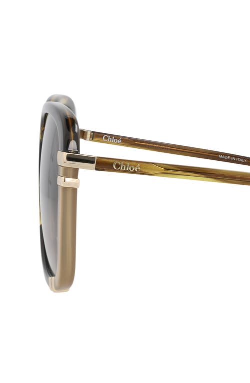 Chloé 59mm Square Sunglasses In Brown