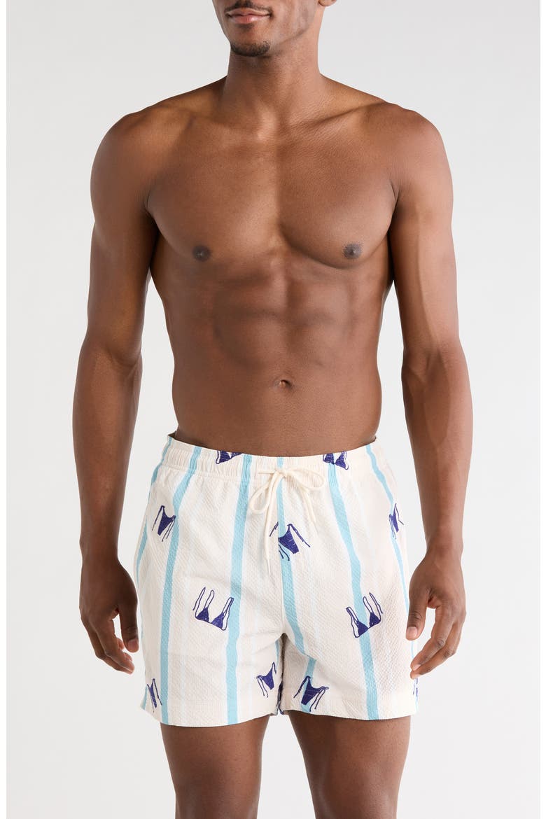 Bikini Embroidered Stripe Swim Trunks, Main, color, GREEN/ WHITE