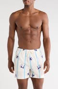 PacSun Bikini Embroidered Stripe Swim Trunks
