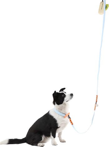 Luna 8FT Adjustable 6-in-1 Waterproof Hands-Free Leash and Collar with LED Flashlight, Bag Dispenser, and Poop Bag Holder