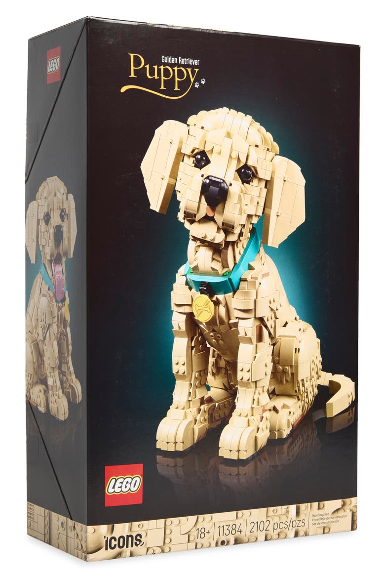 Golden Retriever Puppy Building Set, Main, color, BEIGE MULTI