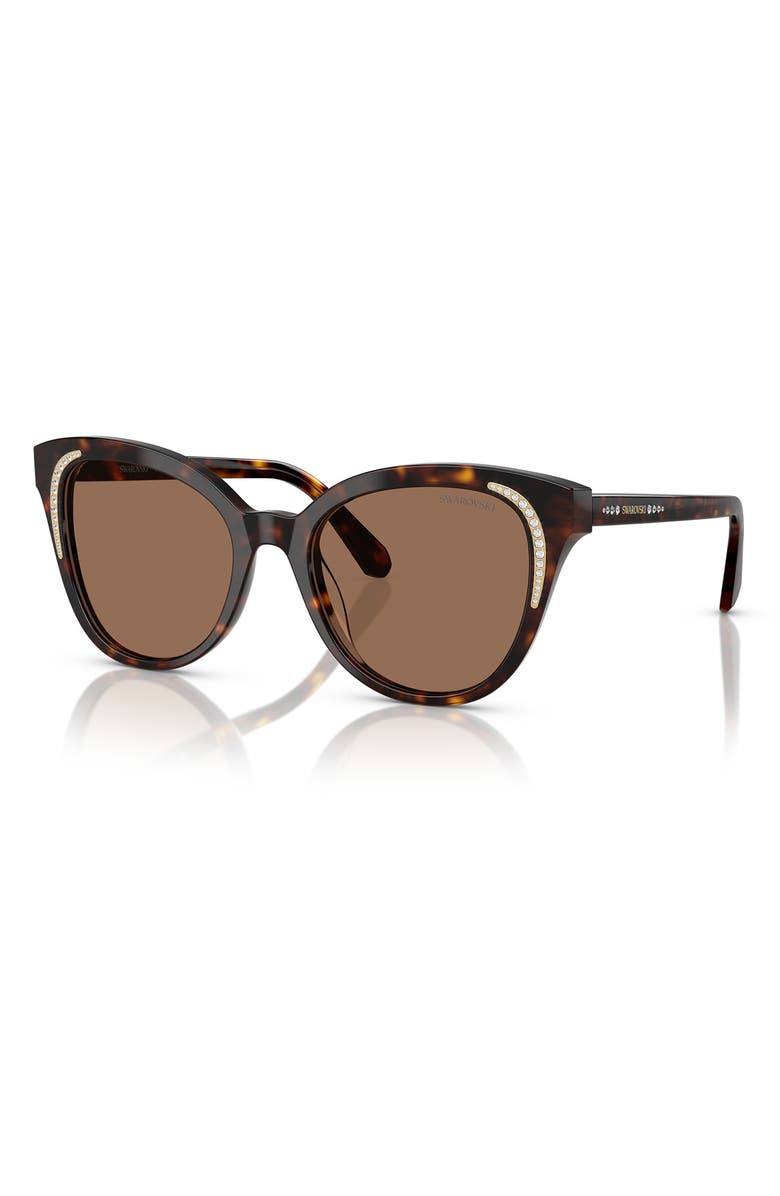 Swarovski 54mm Butterfly Sunglasses, Alternate, color, Dark Havana