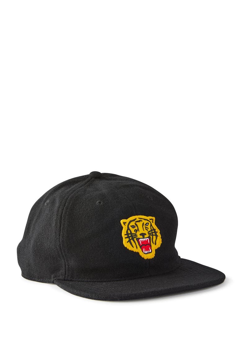 Men's 6 Panel Ball Cap, Main, color, Black Tiger Ball