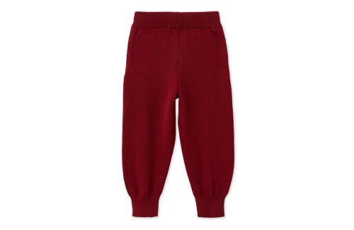 Vild House Of Little Organic Knit Joggers In Red Jasper