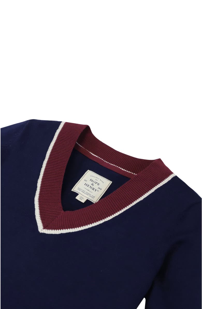 Hope & Henry Women's V-Neck Sweater, Alternate, color, Navy With Berry
