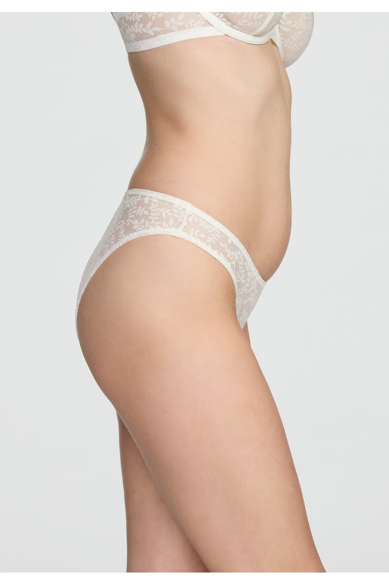 The Bikini, Alternate, color, SALT