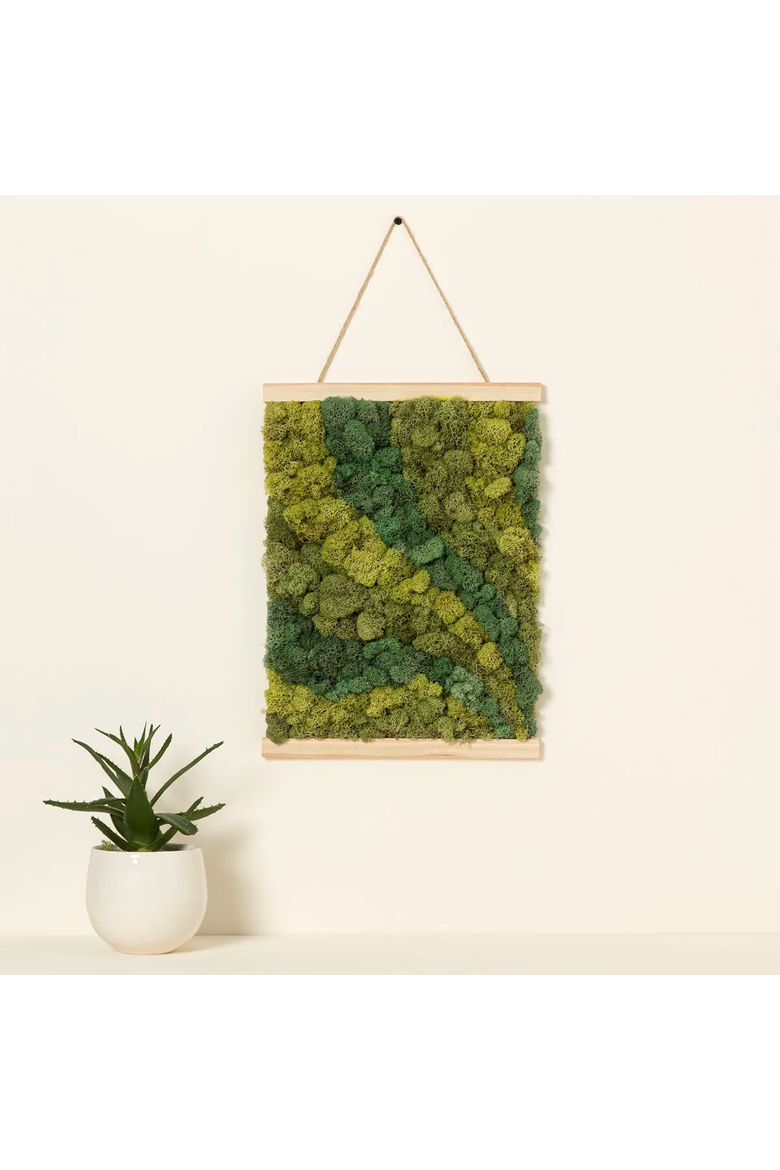 Moss Art by Numbers by Moss Art by Numbers, Main, color, Olive Green