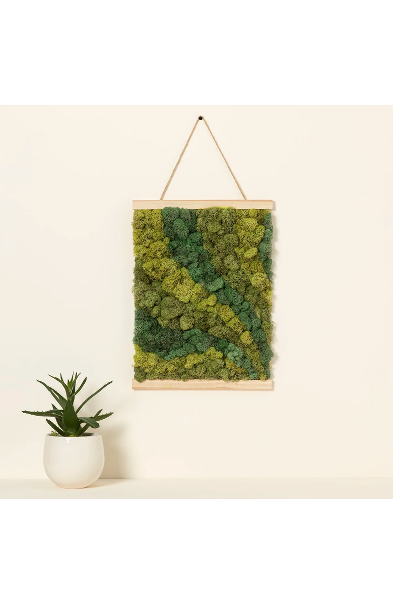 Uncommon Goods Moss Art by Numbers by Moss Art by Numbers, Main, color, 