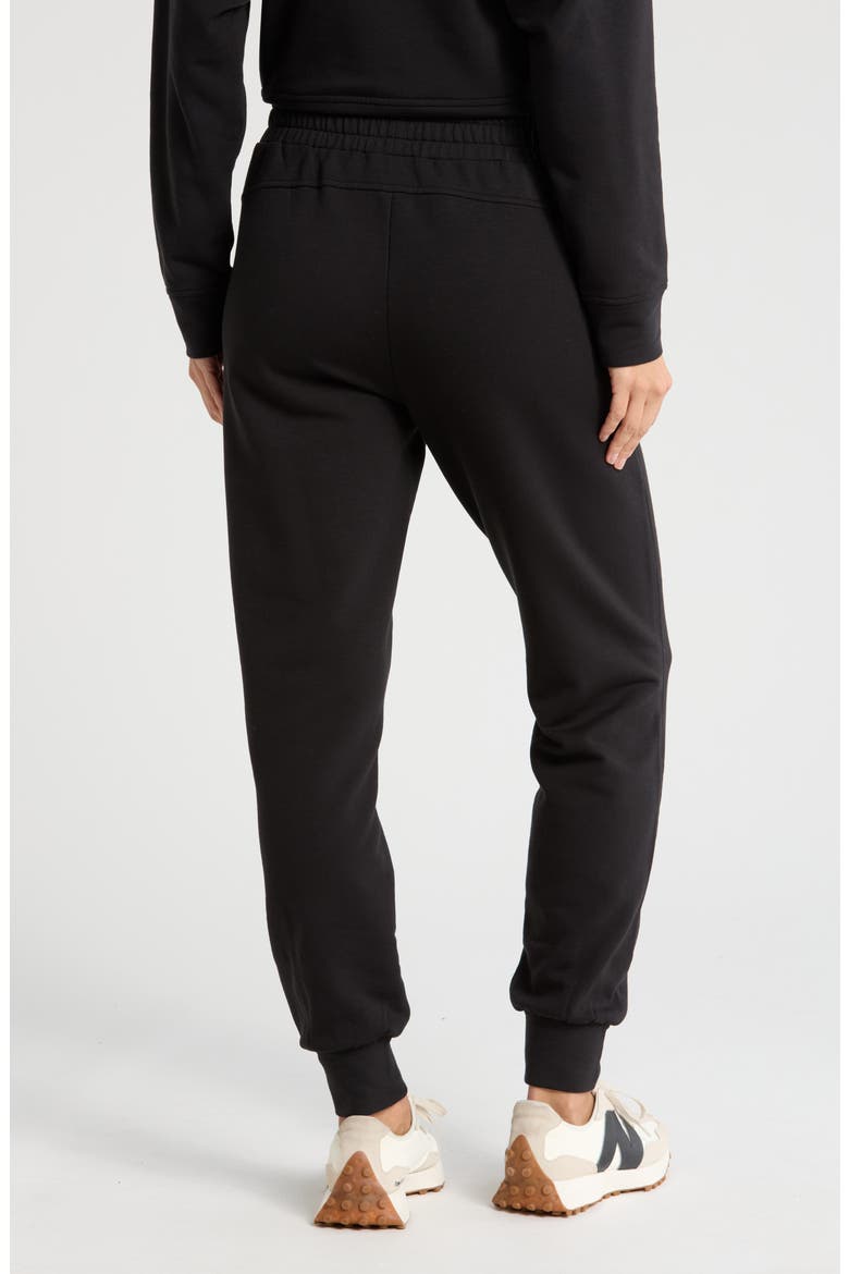 Cozy Knit Joggers, Alternate, color, BLACK