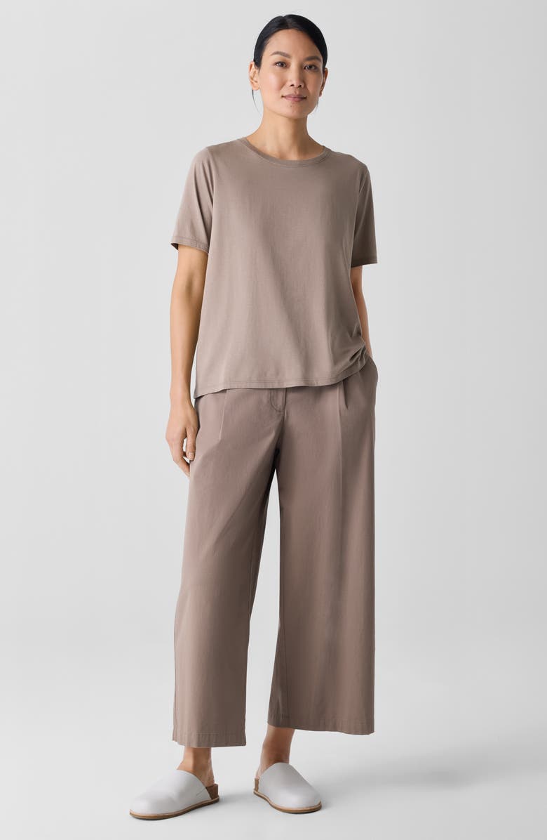 Eileen Fisher Crewneck Organic Cotton T-Shirt, Alternate, color, Cocoa