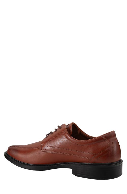 Deer Stags Easton Supro Derby In Brown
