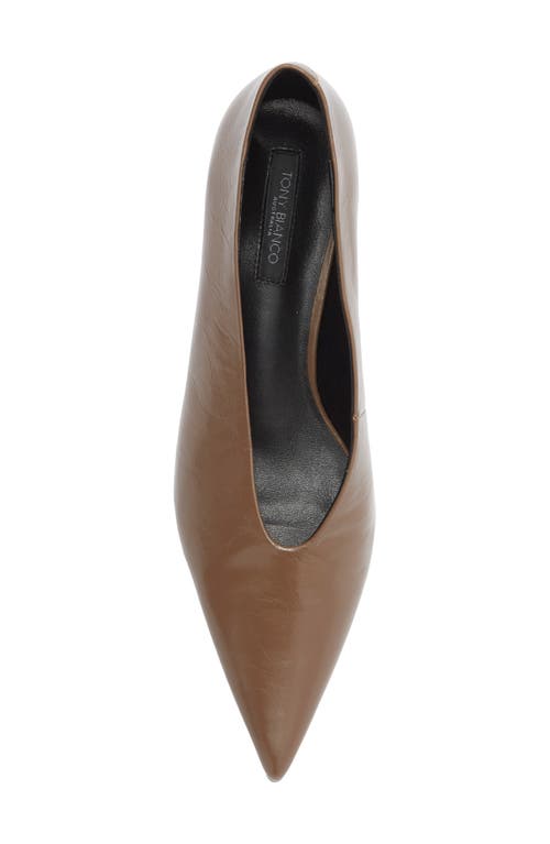 Tony Bianco Cherry Pointed Toe Kitten Heel Pump In Brown