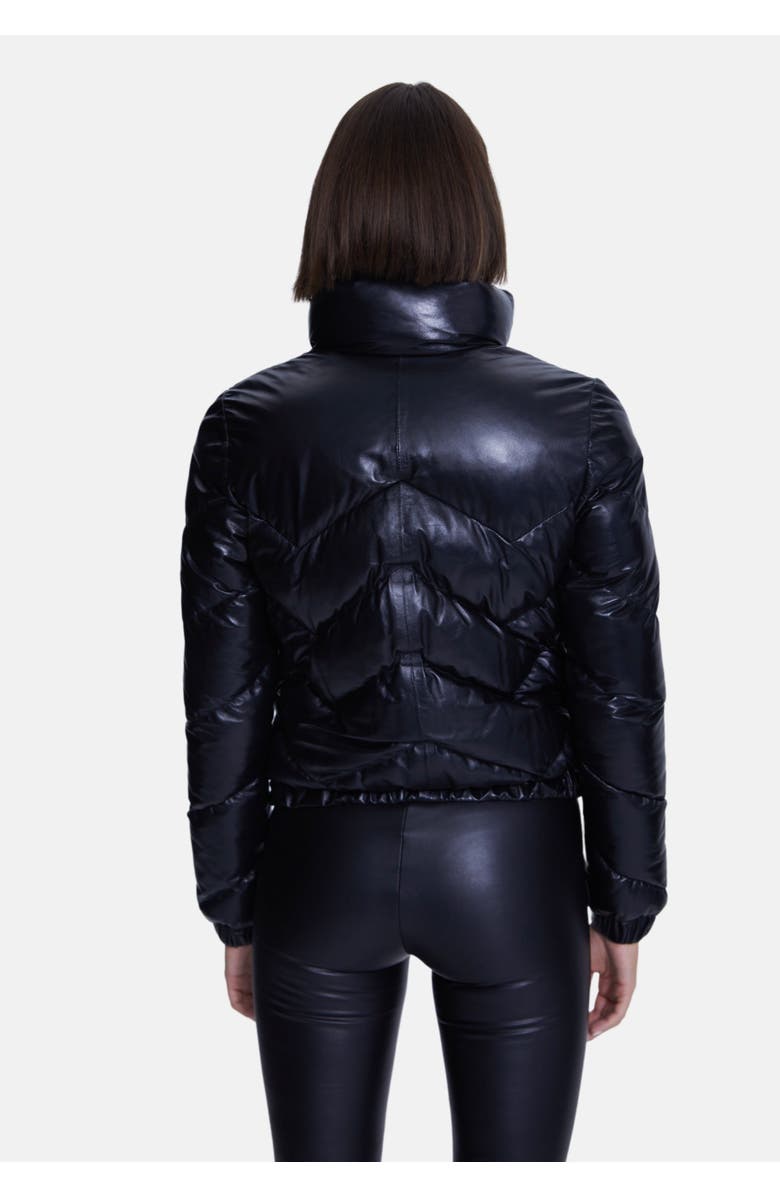 Furniq UK Octavia Leather Jacket, Alternate, color, Black