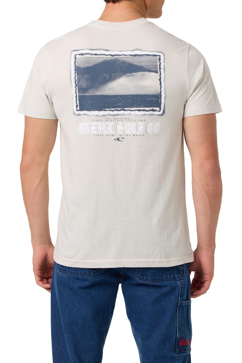 Isolate Classic Graphic T-Shirt, Alternate, color, FOG