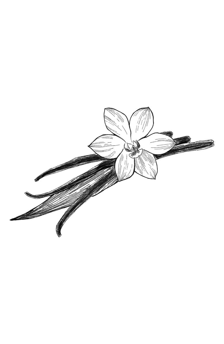 AMOUAGE Lustre Eau de Parfum, Alternate, color,