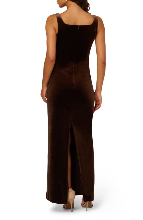 Adrianna Papell Beaded Sleeveless Velvet Gown In Brown