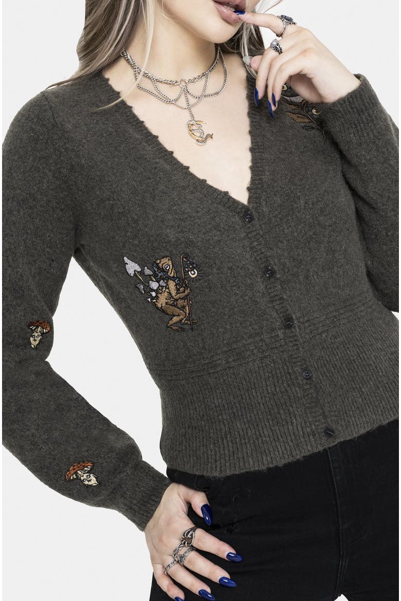 Hexborn Baba Yaga Knit Cardigan, Alternate, color, Grey