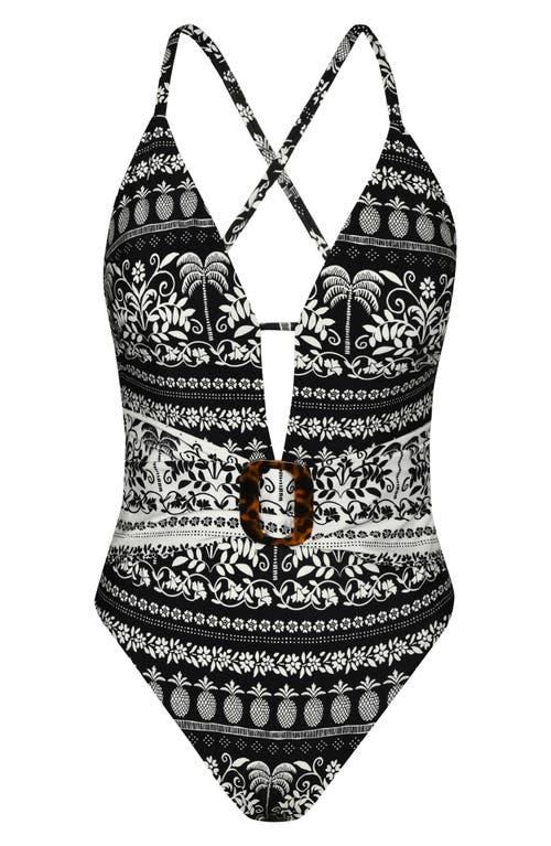 Sunshine 79 Coast V-plunge One-piece Swimsuit In Multi