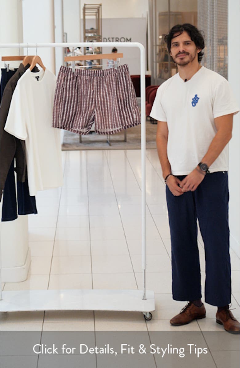 Print 4-Inch Nylon Swim Trunks, sales video thumbnail