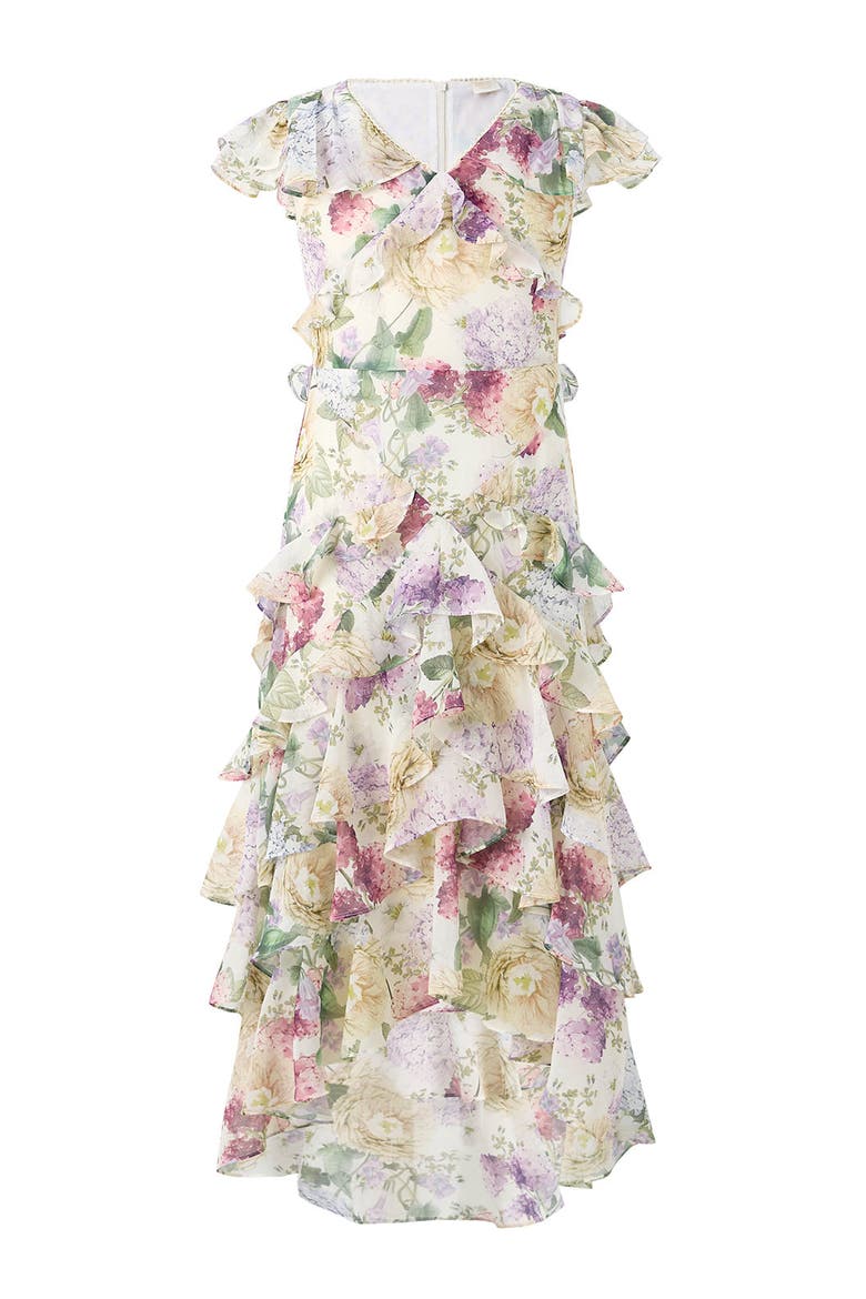 Seraphina Frill Maxi Dress, Main, color, Floral