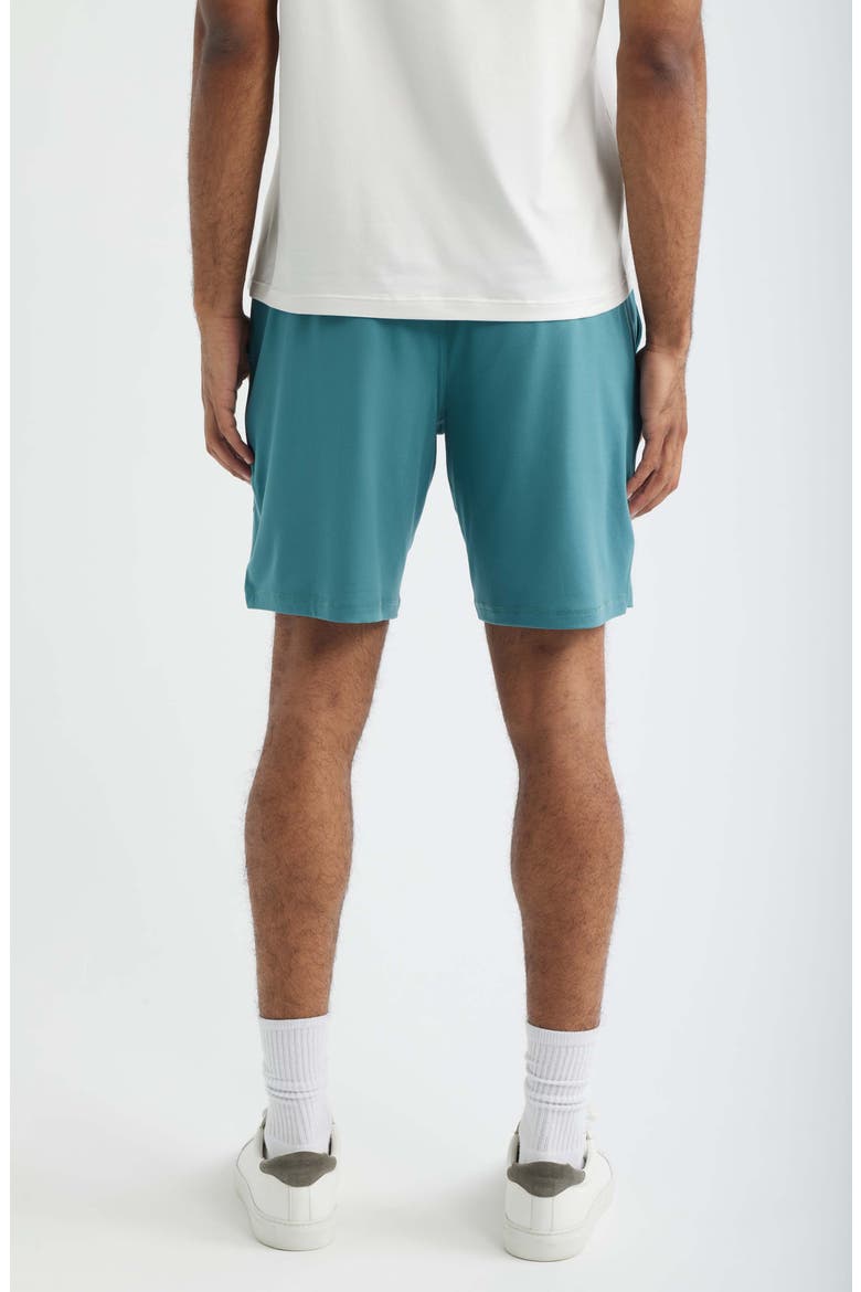 Tempo Enjoy Comfort Fleece Drawstring Shorts - Ryan Sheckler Edition, Alternate, color, BLUE
