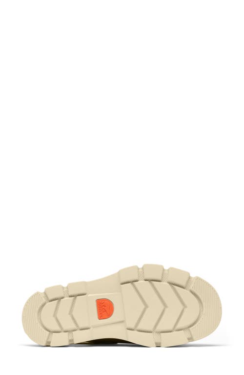 Sorel Rein Cb Crisscross Sandal In Canyon Gold/bleached Ceramic