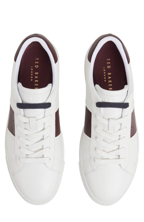 Ted Baker Bradley Sneaker In White